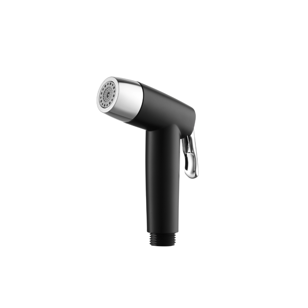Haustern ABS Hand Bidet (2 Spray Pattern) with Flexible Hose Matte Black colour(HT-HB401D-BK)