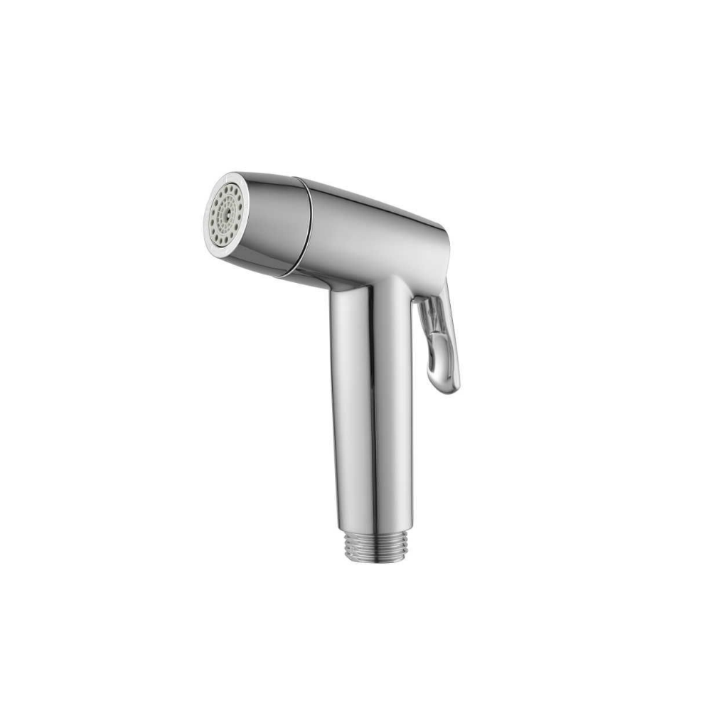 Haustern ABS Hand Bidet (2 Spray Pattern) with Flexible Hose Chrome colour(HT-HB401D-CR)