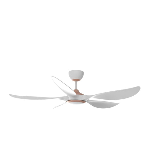 RUBINE AEROX SERIES AEROX56-5BL-CMB/CMW - Champagne Matte Black / White