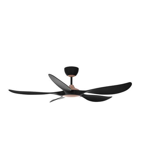 RCF-AEROX56-3B