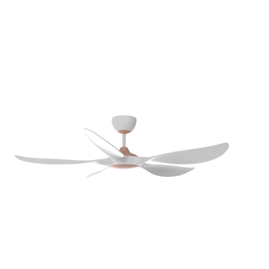 RCF-AEROX56-3B