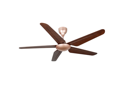 TWIN PACK - Rubine KAZEN Series RCF-KAZEN56-5B-HP/RO - Honey Pine / Royal Oak