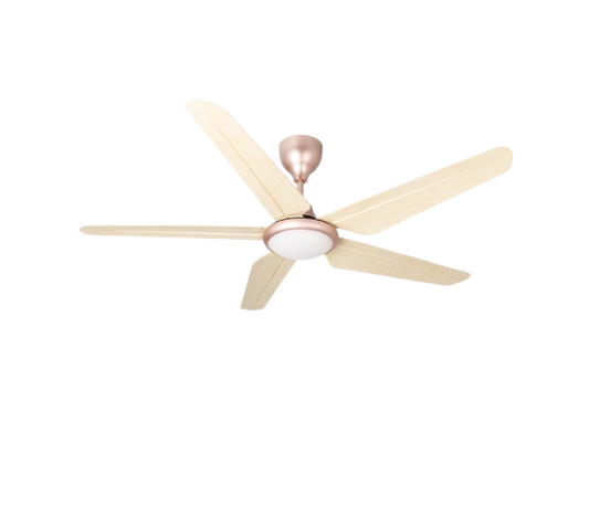 TWIN PACK - Rubine KAZEN Series RCF-KAZEN56-5BL-HP/RO - Honey Pine / Royal Oak