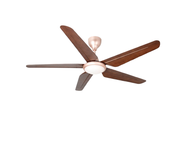 TWIN PACK - Rubine KAZEN Series RCF-KAZEN56-5BL-HP/RO - Honey Pine / Royal Oak