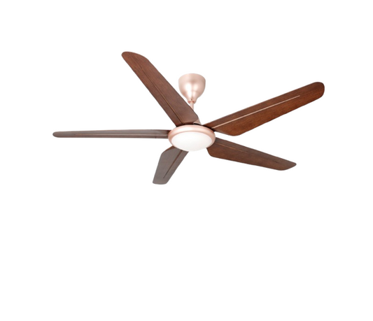 TWIN PACK - Rubine KAZEN Series RCF-KAZEN56-5BL-HP/RO - Honey Pine / Royal Oak